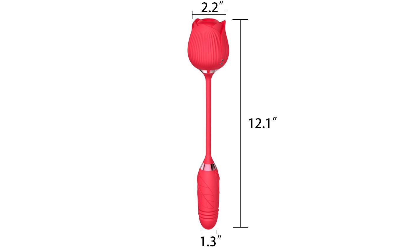 10 Speeds Rose Sucking Vibrator